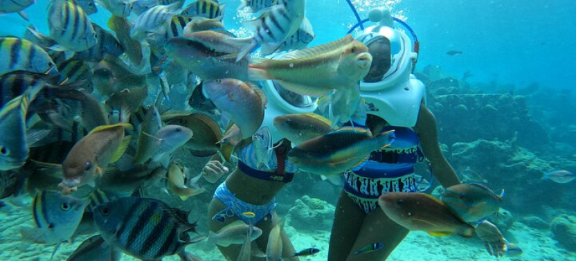 Underwater Walking Tour In Curacao