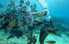 Underwater Walking Tours B.V.4