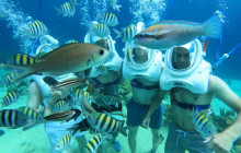 Underwater Walking Tours B.V.6