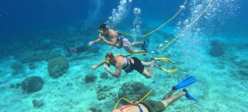 1 Hour Guided Snuba East Coast Diving In Curacao