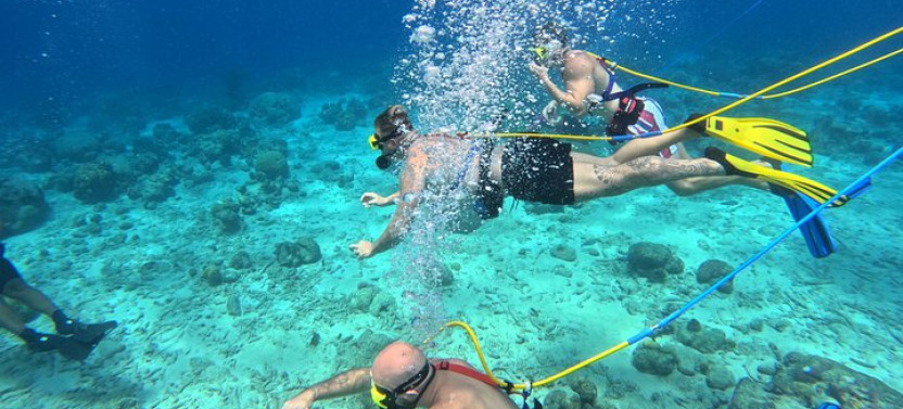 1 Hour Guided Snuba East Coast Diving In Curacao