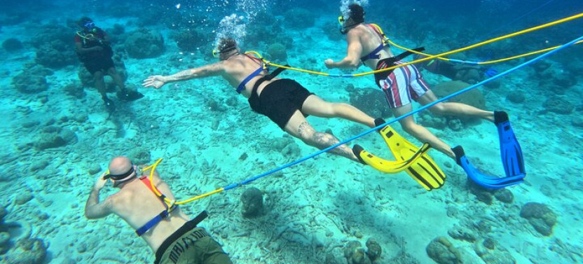1 Hour Guided Snuba East Coast Diving In Curacao