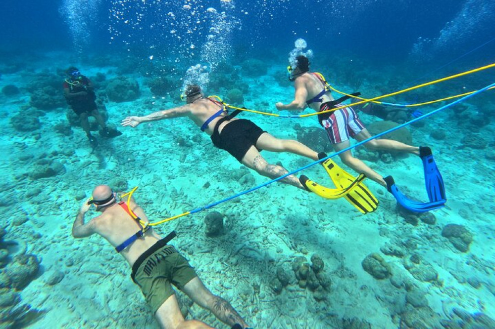 1 Hour Guided Snuba East Coast Diving In Curacao