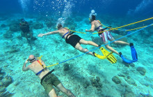 Underwater Walking Tours B.V.1