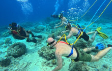 Underwater Walking Tours B.V.11