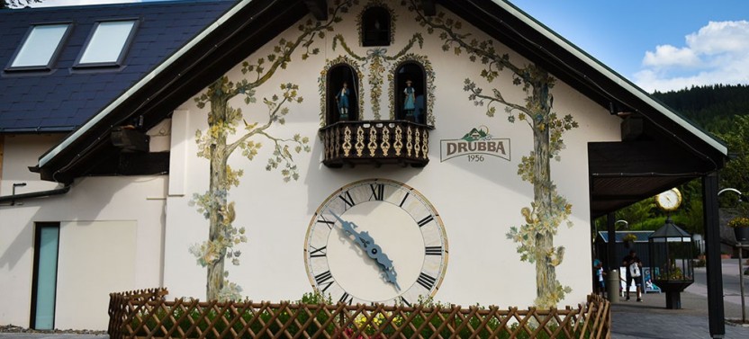 Germany's Black Forest & Swiss Rhine Falls on a Private Trip