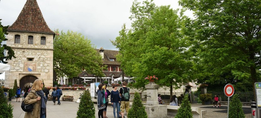 Germany's Black Forest & Swiss Rhine Falls on a Private Trip
