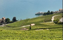 ARATOURS SA (AlpTransfer, AlpExcursion, Switzerland Tour)3