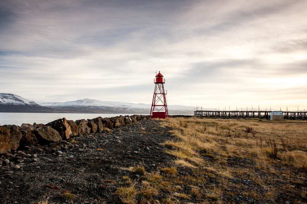 Private Arctic Coastline & Whale Watching