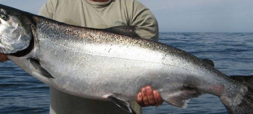 Charter Fishing Trip