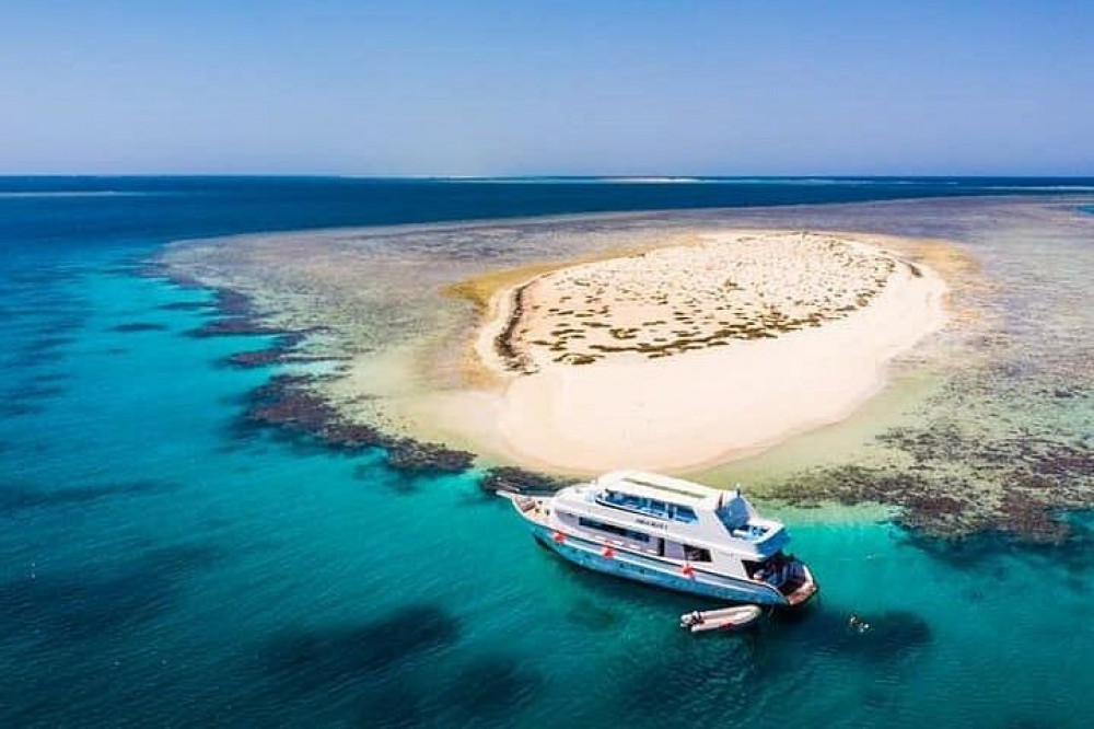 Hamata Island Snorkeling Sea Trip With Lunch From Marsa Alam