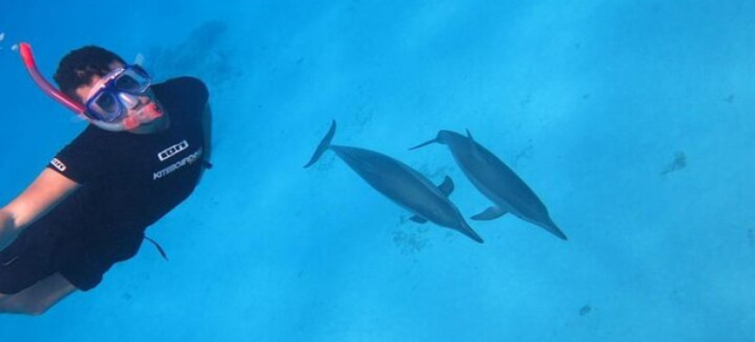 Snorkeling With Dolphins & Lunch In Sataya Reefs From Marsa Alam