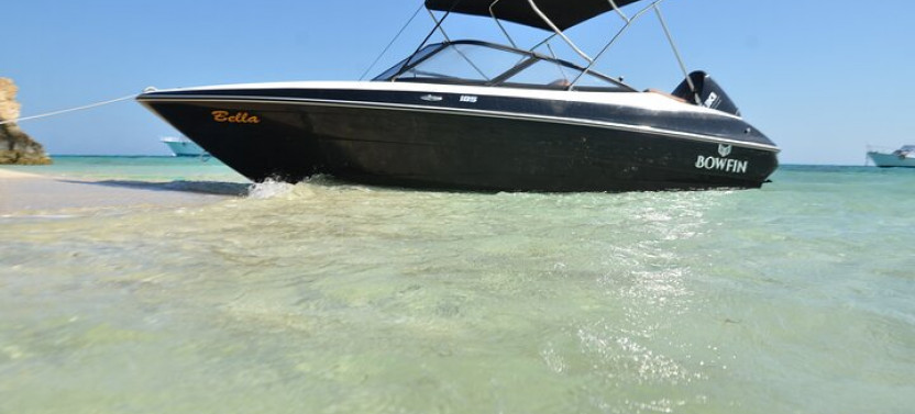 Private Speedboat Swimming And Dolphin Watching In Hurghada