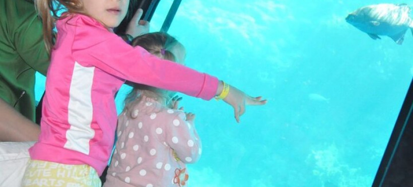 Sea Scope Semi Submarine Tour With Transfer - Sharm El Sheikh