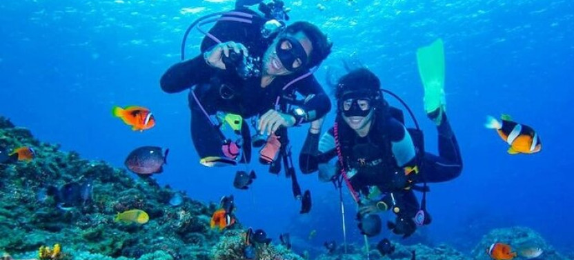 Samadai Reef Snorkelling Boat Trip From Marsa Alam