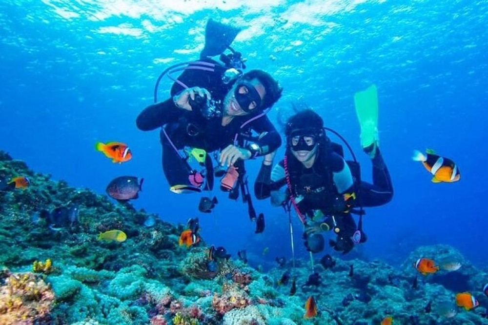 Samadai Reef Snorkelling Boat Trip From Marsa Alam