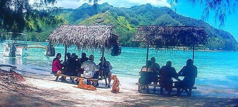 Intimate Snorkeling & Water - Lunch Tour