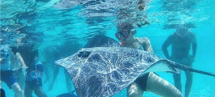 Intimate Snorkeling & Water - Lunch Tour