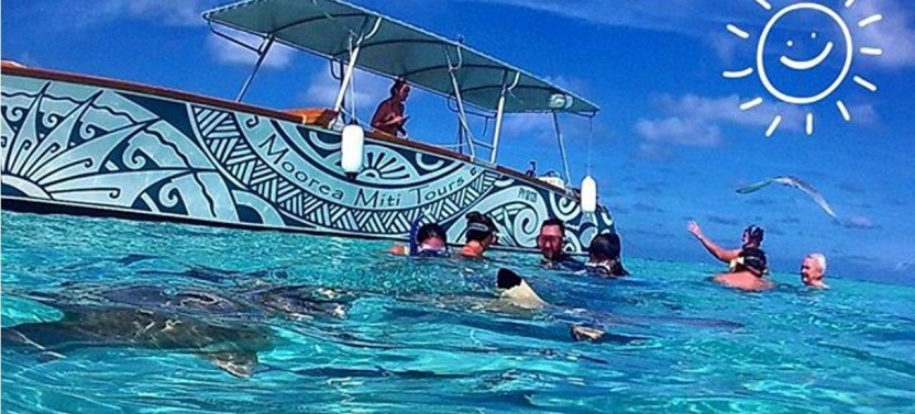 Intimate Snorkeling & Water - Lunch Tour