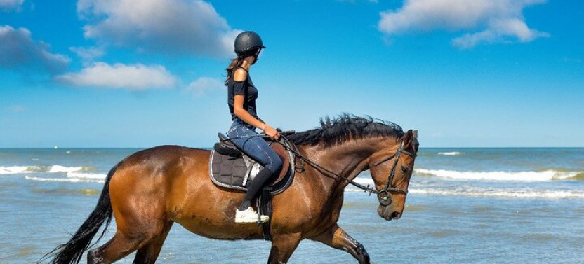 One-Hour Beach Horse Riding With Transfer From Hurghada