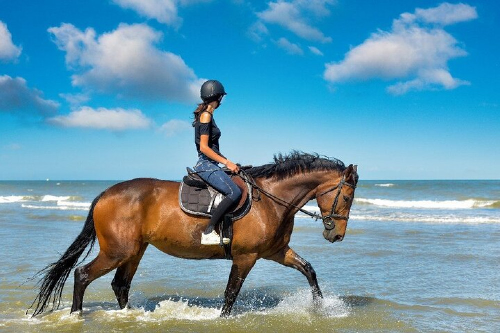 One-Hour Beach Horse Riding With Transfer From Hurghada