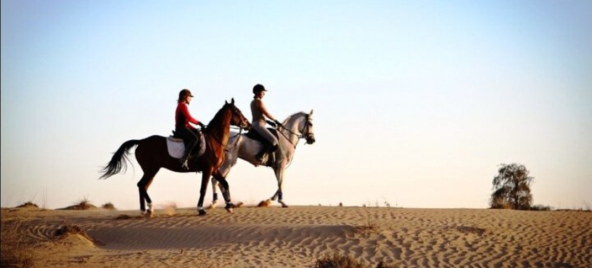 One-Hour Beach Horse Riding With Transfer From Hurghada