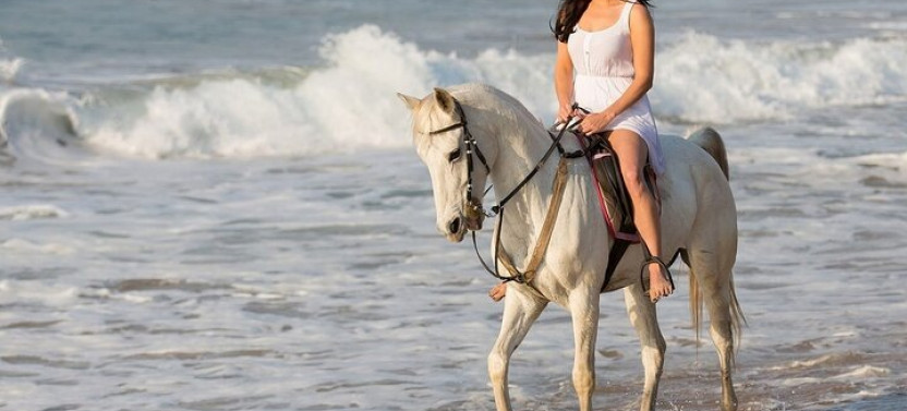 One-Hour Beach Horse Riding With Transfer From Hurghada