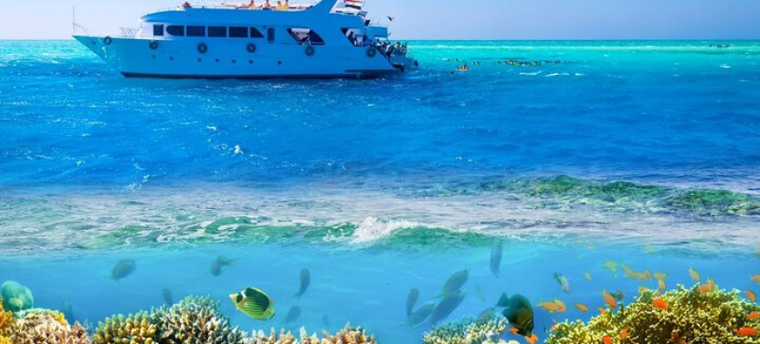 White Island & Ras Mohamed Boat Trip With Lunch From Sharm