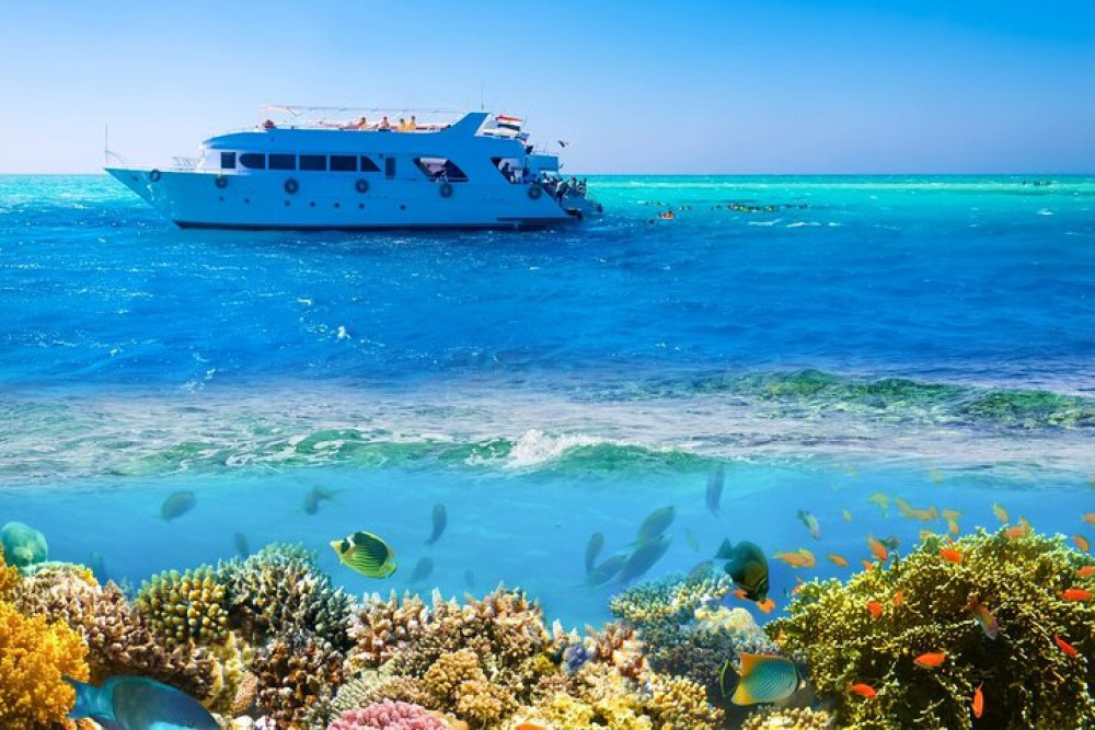 White Island & Ras Mohamed Boat Trip With Lunch From Sharm