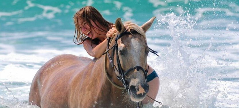 3-hour Swim With Horses And Romantic Dinner Experience- Hurghada