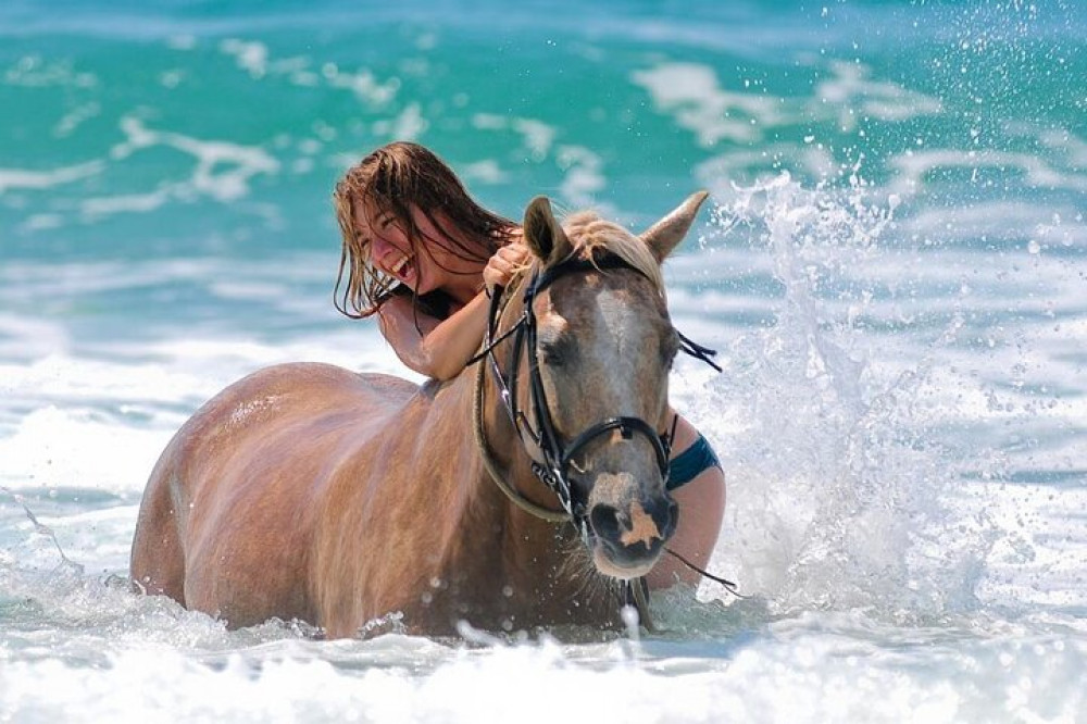 3-hour Swim With Horses And Romantic Dinner Experience- Hurghada