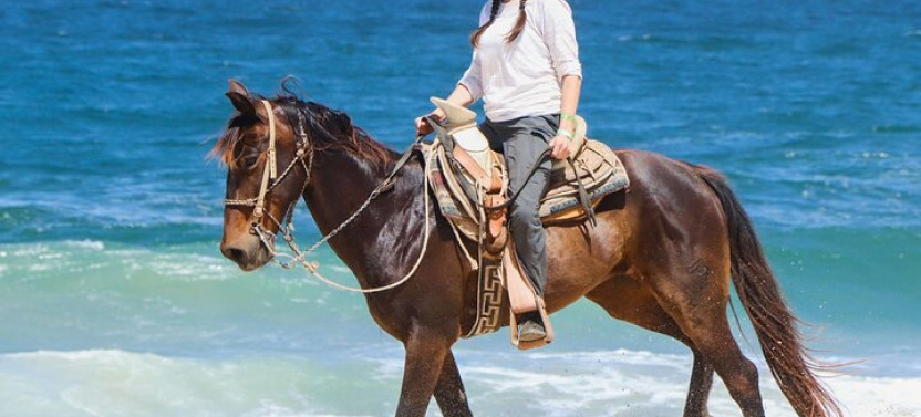 3-hour Swim With Horses And Romantic Dinner Experience- Hurghada