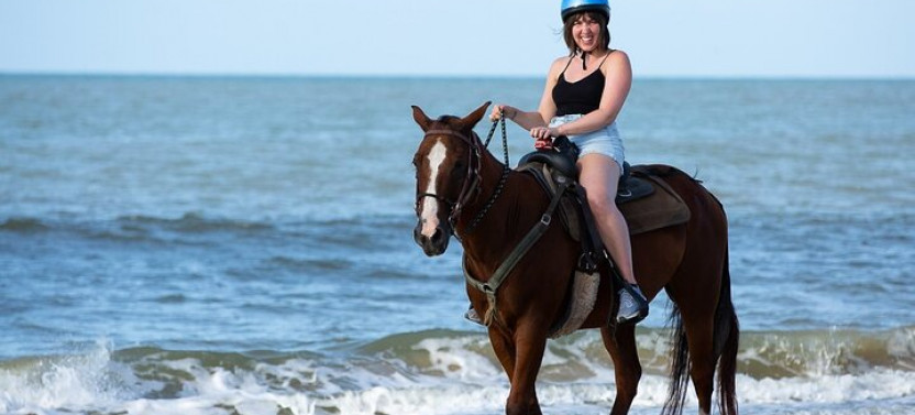 3-hour Swim With Horses And Romantic Dinner Experience- Hurghada