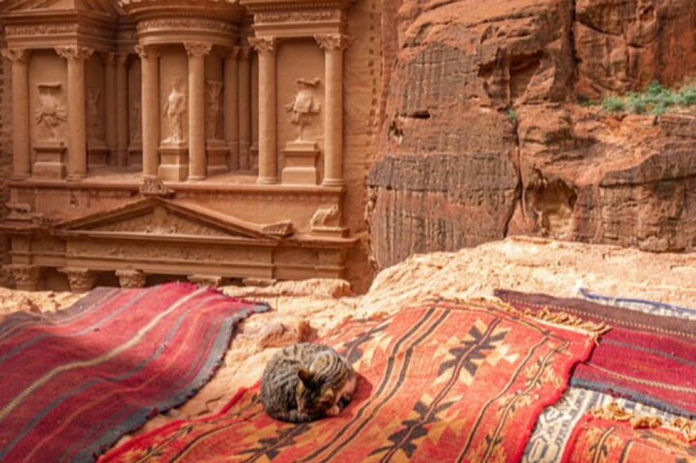 Full Day Tour of Petra Temple and Jordan from Sharm El Sheikh