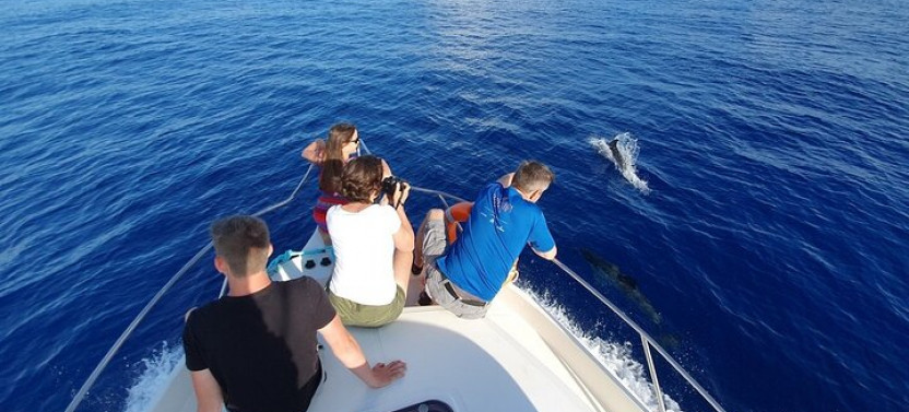 Samadai Reef - Dolphin House Snorkeling Tour At Marsa Alam