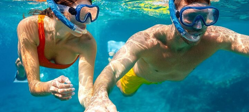 Samadai Reef - Dolphin House Snorkeling Tour At Marsa Alam