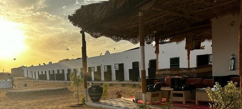 2 Hours Sunrise Horse Riding Beach And Desert From Marsa Alam