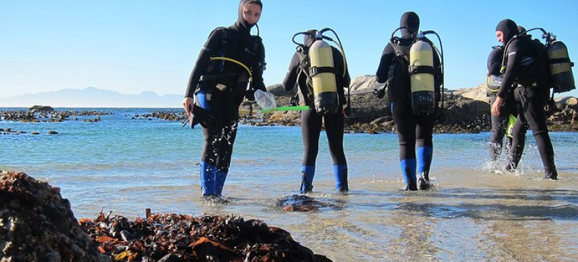 1-hour Beach Diving Experience With Transfer From Sharm El Sheikh