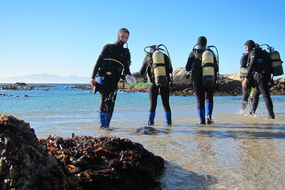 1-hour Beach Diving Experience With Transfer From Sharm El Sheikh