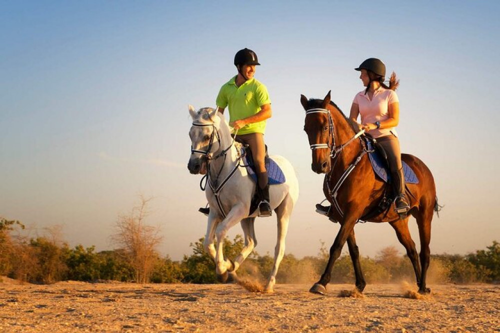 Bella Trips