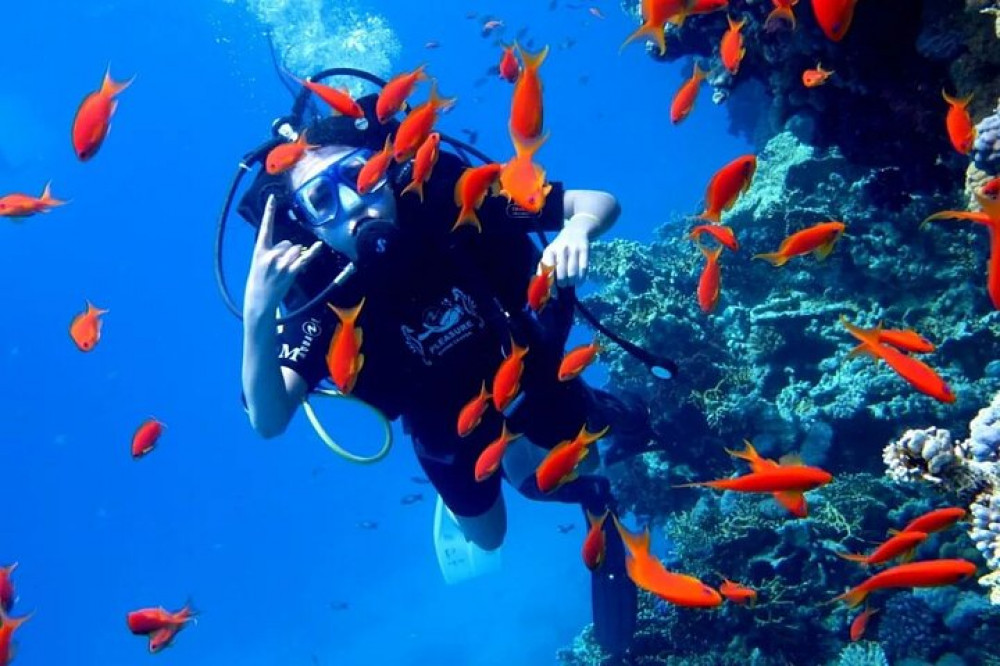 Orange Island Snorkeling Sea Trip With One Intro Dive - Hurghada