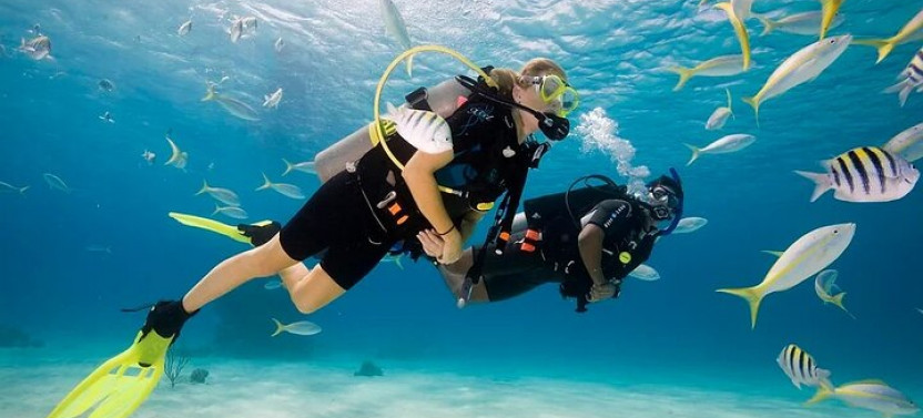 Scuba Diving Sea Trip with Lunch and Transfer from Hurghada