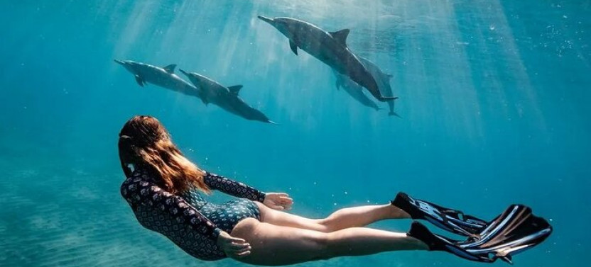 Dolphin Watching and Snorkeling Cruise with Lunch from Hurghada