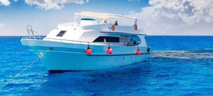 Dolphin Watching and Snorkeling Cruise with Lunch from Hurghada