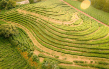 Azorean Tales2