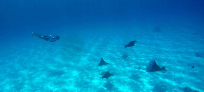 Luxury Private Full-Day Motu Experience