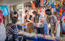 Discova Day Tours and Activities10