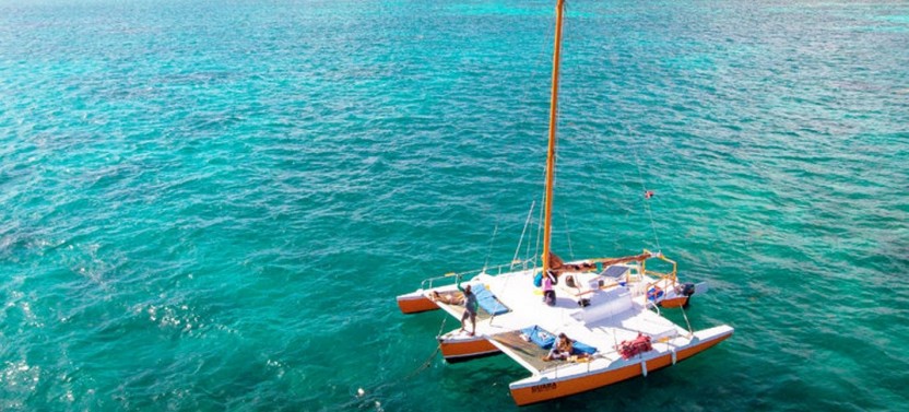 Semi-Private Snorkeling Cruise, Up to 16 Guests