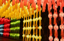 Discova Day Tours and Activities10