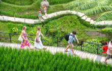 Discova Day Tours and Activities8